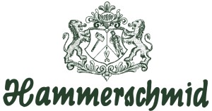 Hammerschmid